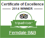 Ferndale Guest House - Certificate of Excellence Winner 2014
